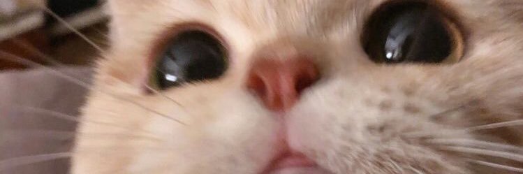 suaaoc's profile banner image