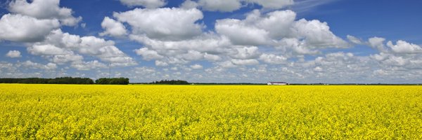 Boundary_Agro Profile Banner