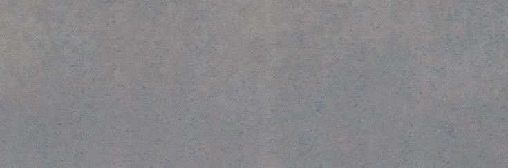Flays banner