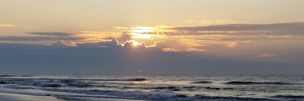 schoon Profile Banner