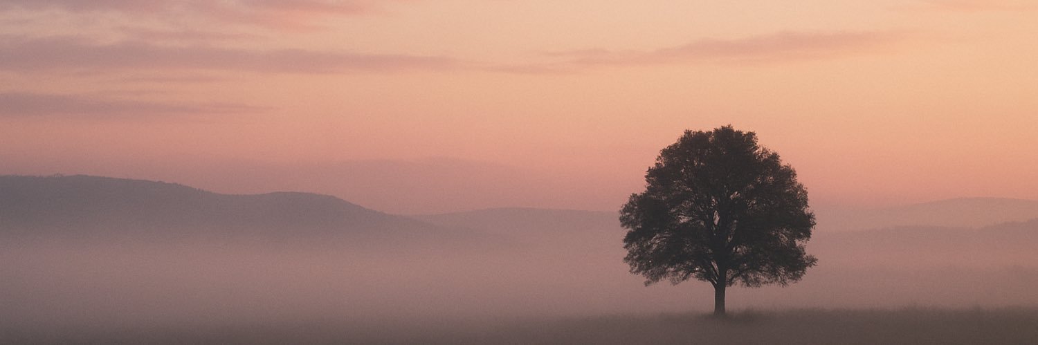 ebrlkn's profile banner image