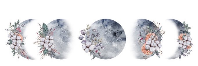 ElenaRivero's profile banner image