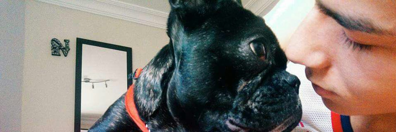 FRENCHIELover🐶 Profile Banner