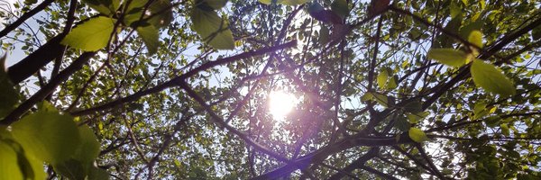 GustavoGuajar20 Profile Banner