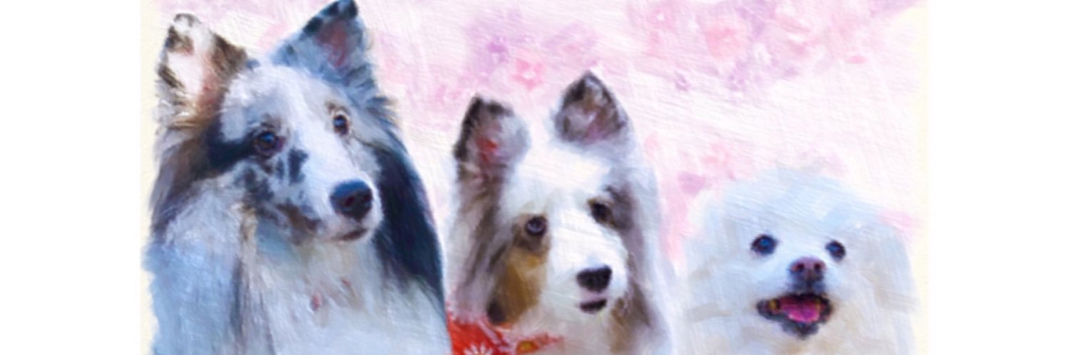 ytt_'s profile banner image