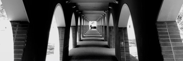 davidannakiemd Profile Banner