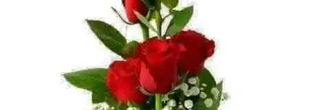 sh45904148's profile banner image