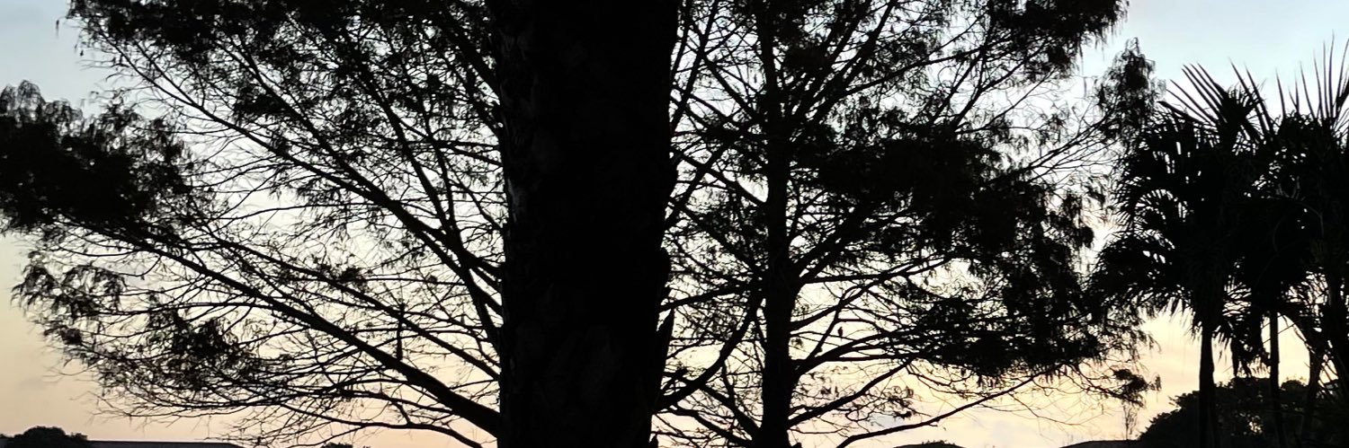 vittin031_'s profile banner image