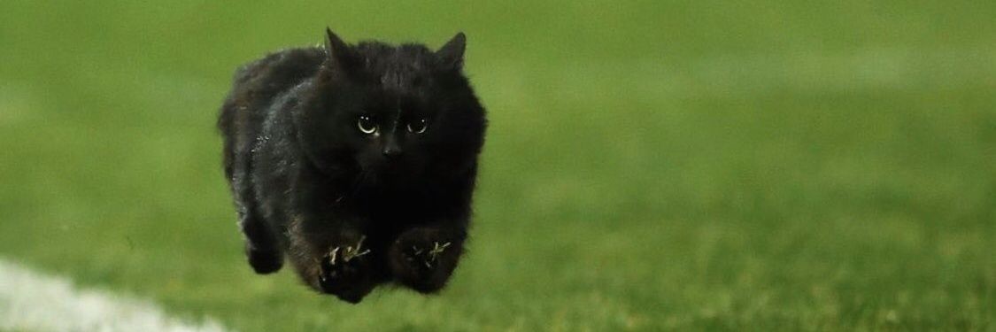 encyclopector banner