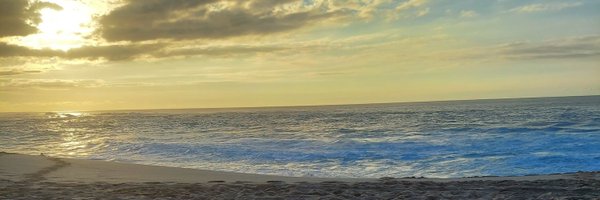temafudge Profile Banner