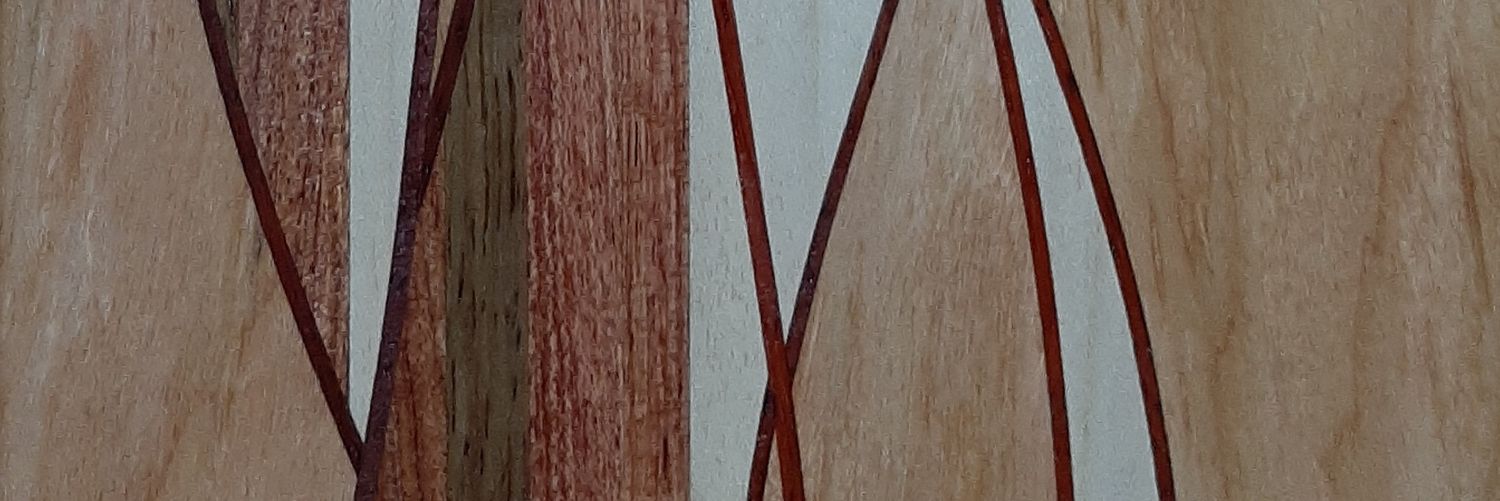 Tim Chisholm LCGI FIOC #CarpentryStudents banner