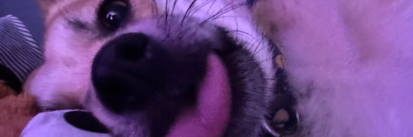 code_brenden Profile Banner