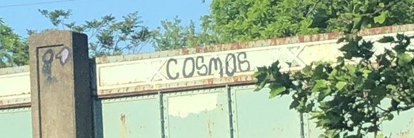 Buffalo_Cosmos Profile Banner
