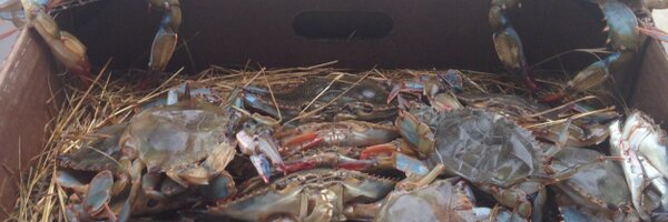 BBQSomething Profile Banner