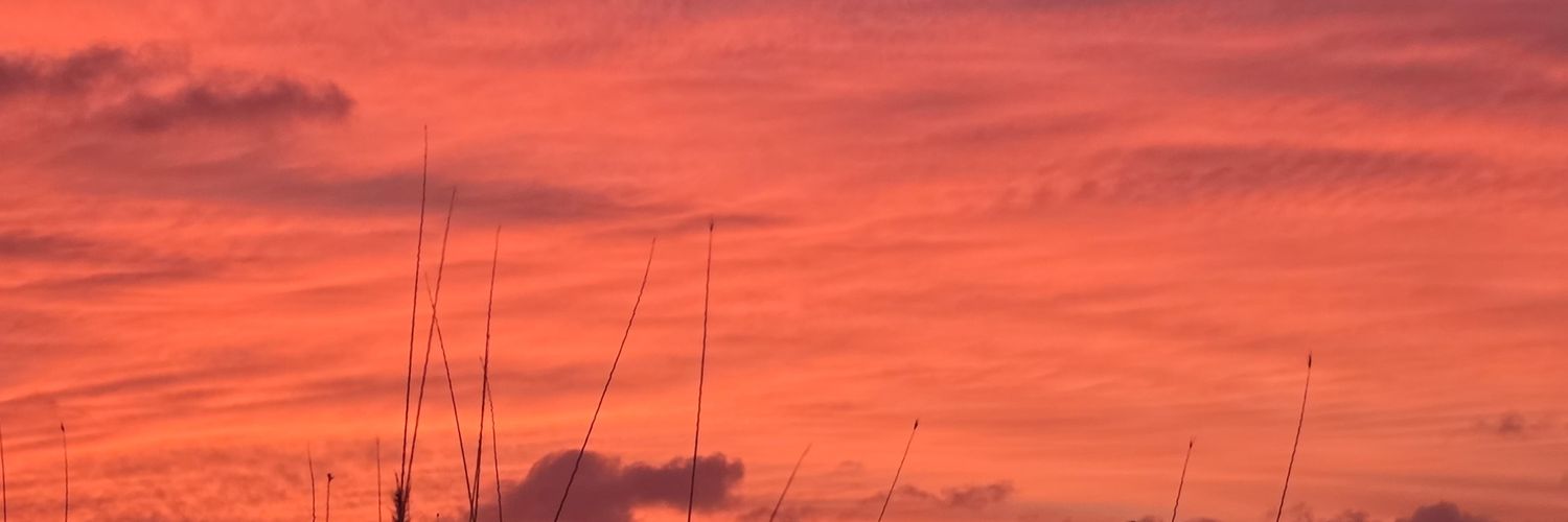 sbdewindt's profile banner image