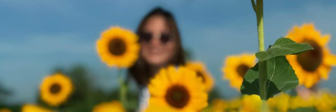 jenitoot's profile banner image