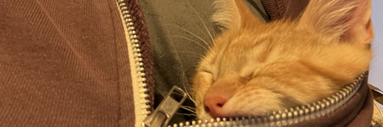 Peter Lindberg banner