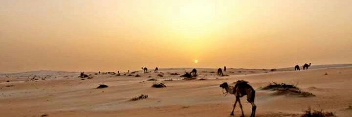 ⁦🇩🇿⁩ أبو براء 🇵🇸 banner