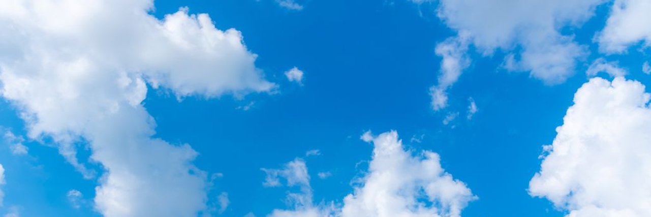 Kat - a free elf banner