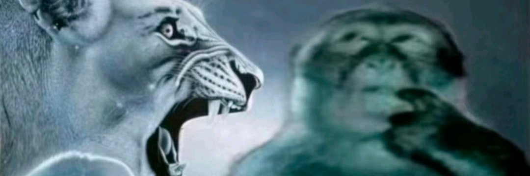 fangsforfags's profile banner image