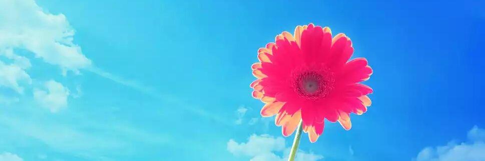 Krla_Rivas's profile banner image