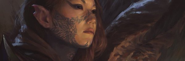 DionShield Profile Banner