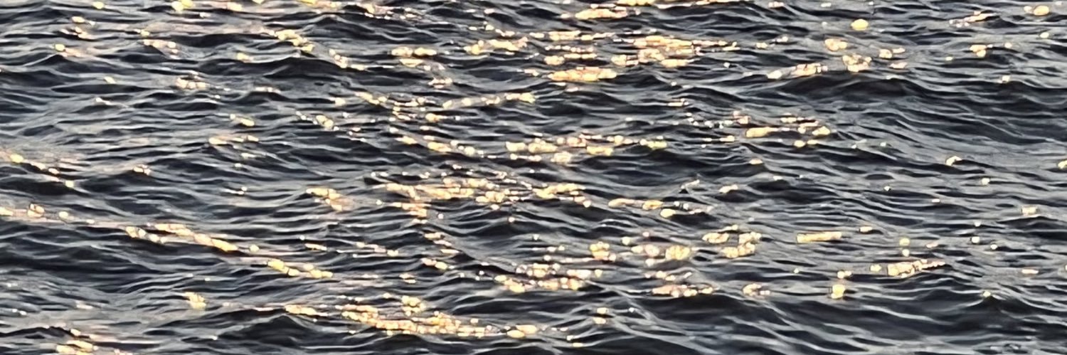 Rueef_16's profile banner image
