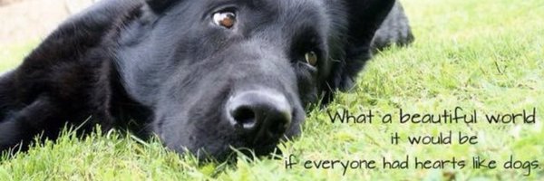 journeyhomegsd Profile Banner
