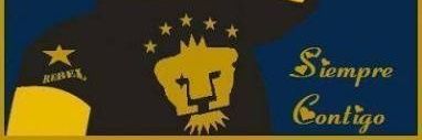 LCELIS7's profile banner image