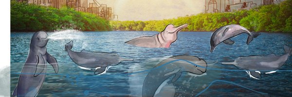 WWFRiverDolphin Profile Banner