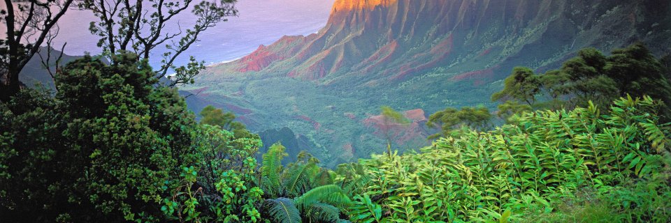 mramgopal98's profile banner image