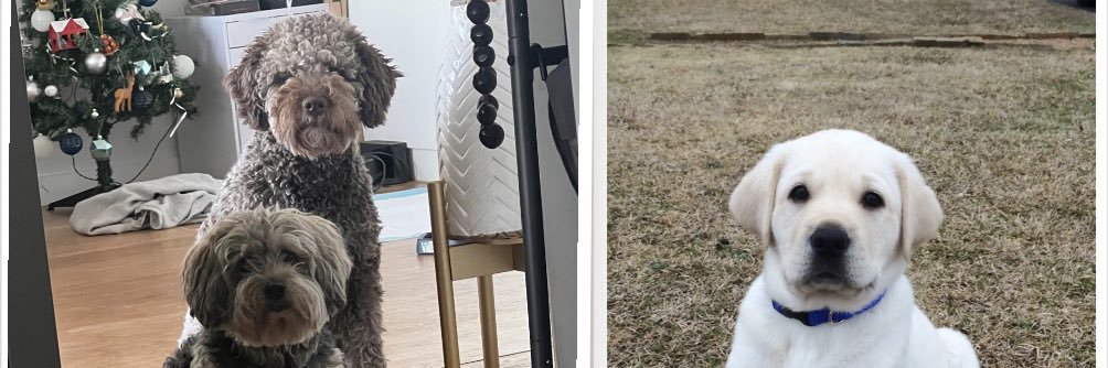 Sidd Dalal, MD 🧠 banner