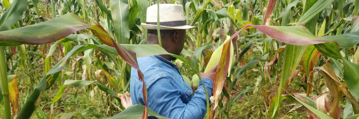 🅢🅗🅐🅓🅡🅐🅒 🅜 banner