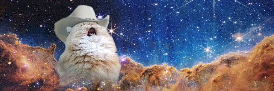 Dr Ellie Armstrong (she/her) banner