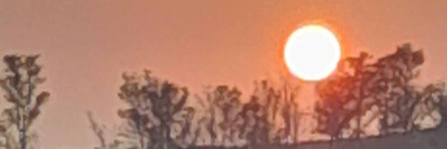 CPlanicie's profile banner image