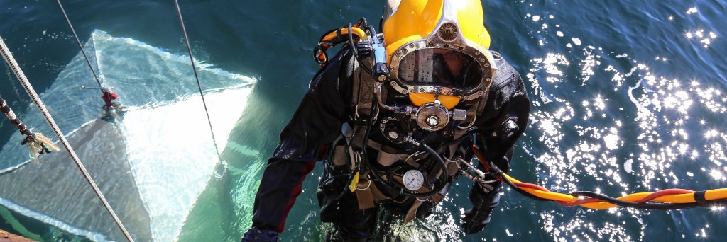 DiveSafe banner