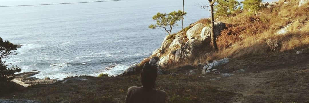 Aroa banner