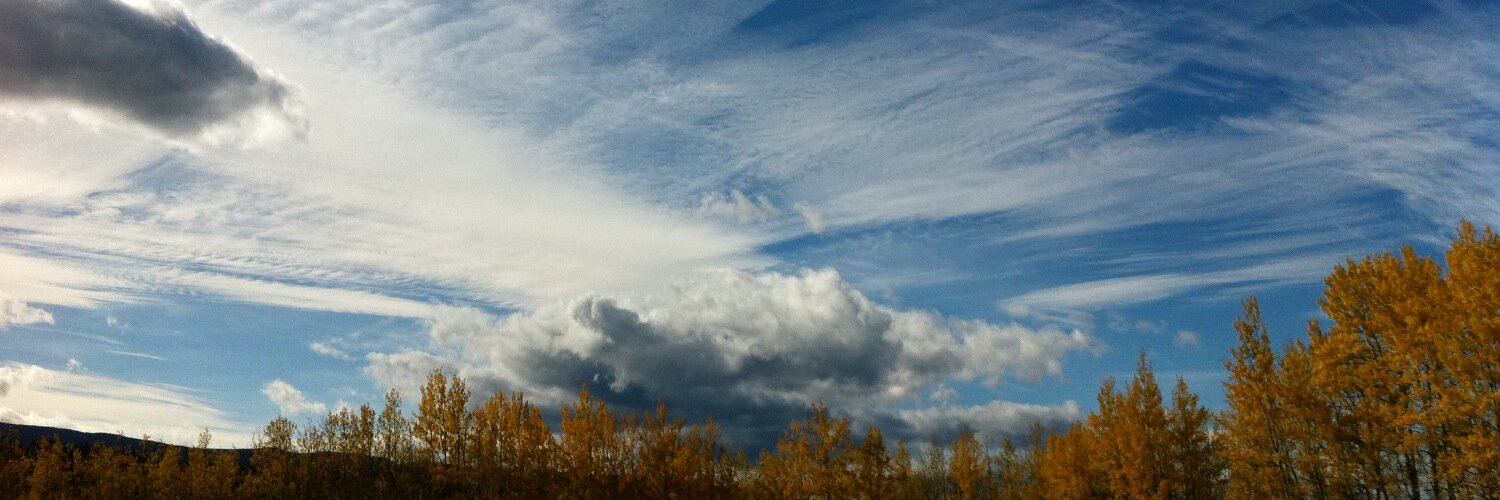 Jesse van der Meulen banner