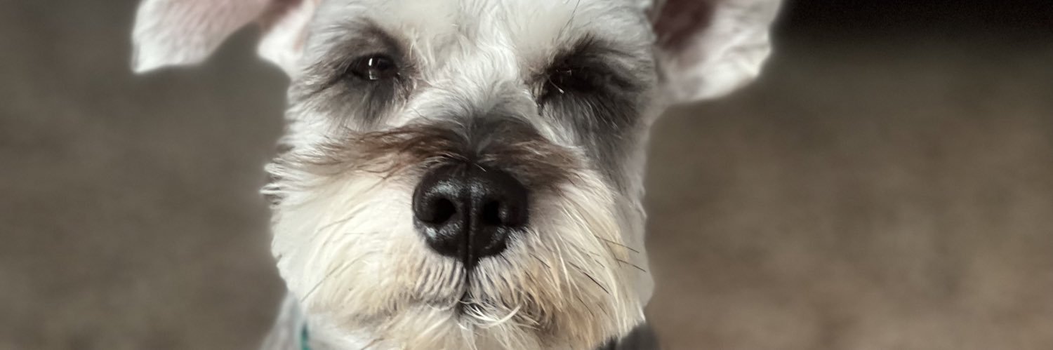 aavazquez2's profile banner image