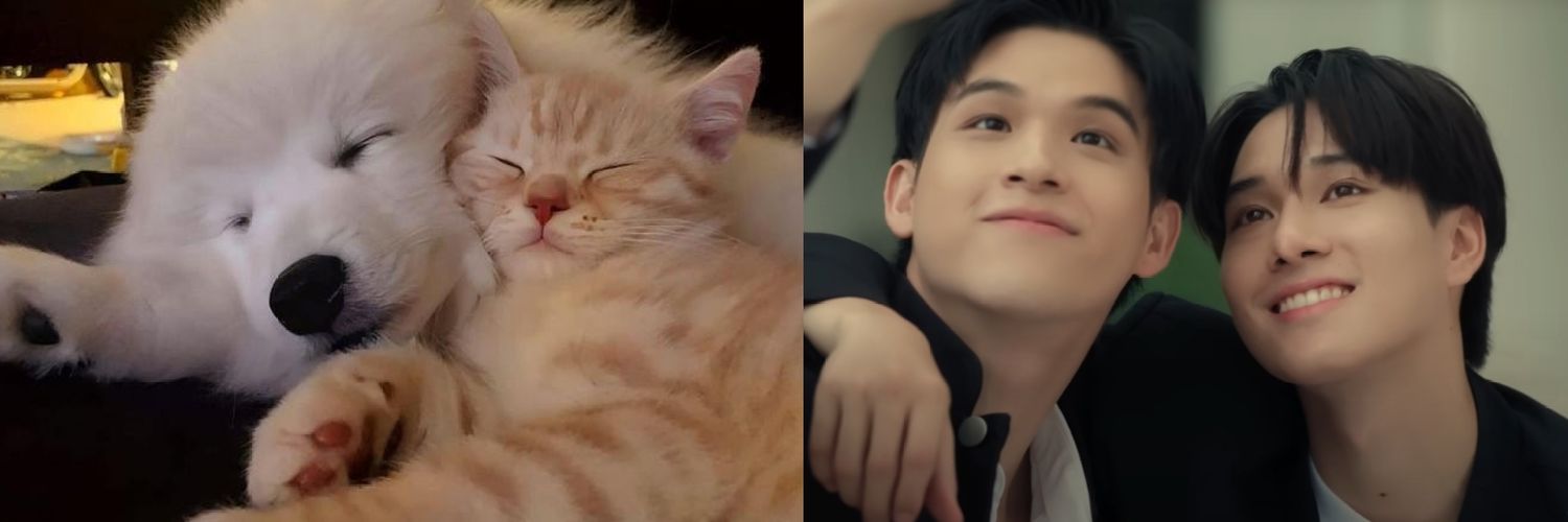 dils•⁠ᴗ⁠• banner