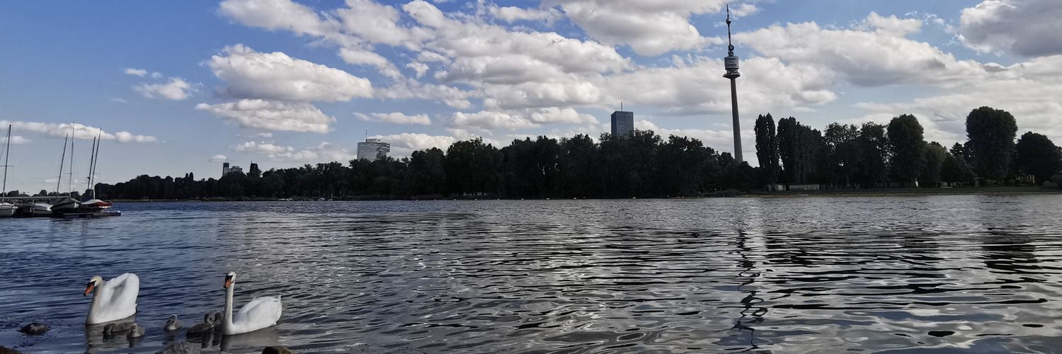 Mathias Kirchner banner