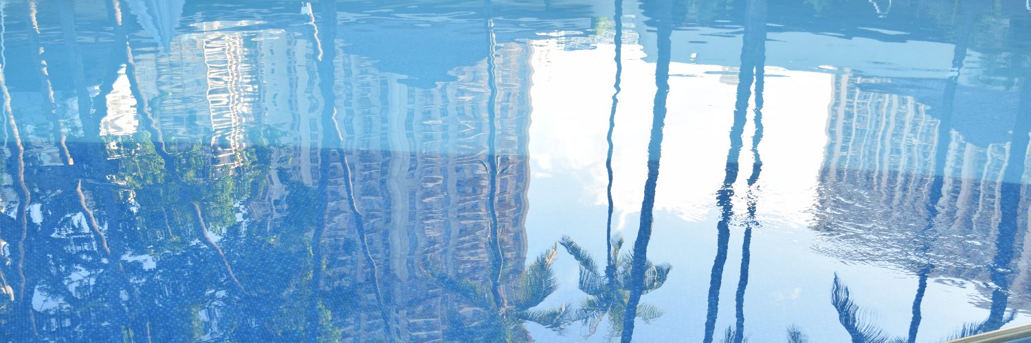 でもはん🔞 banner