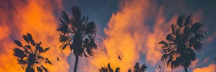 codyknudson's profile banner image