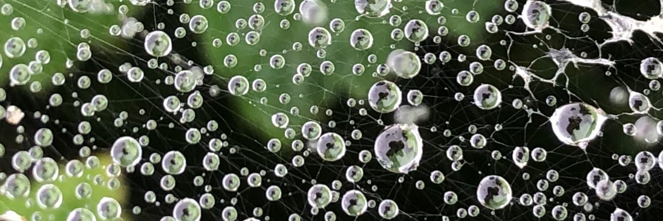 luwarren's profile banner image