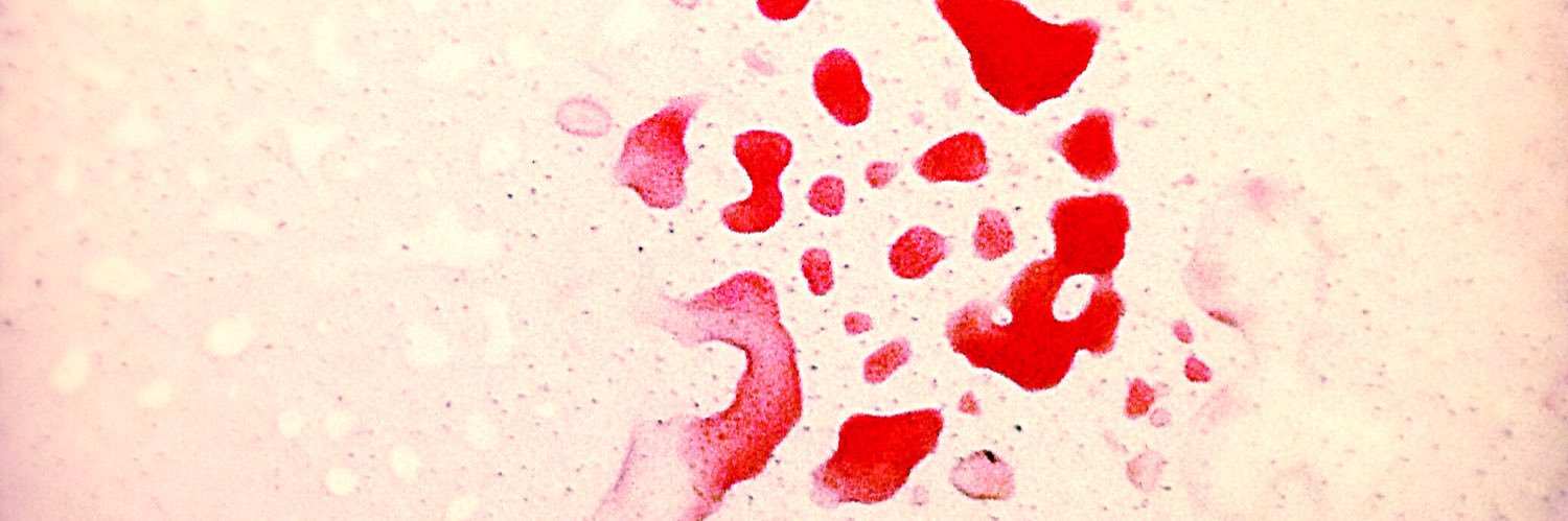 RyleeD_'s profile banner image
