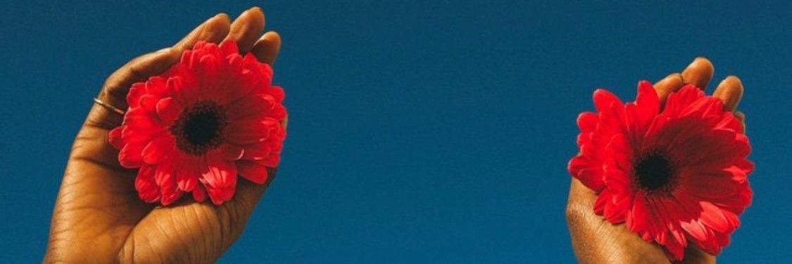 LastRosesLeft's profile banner image