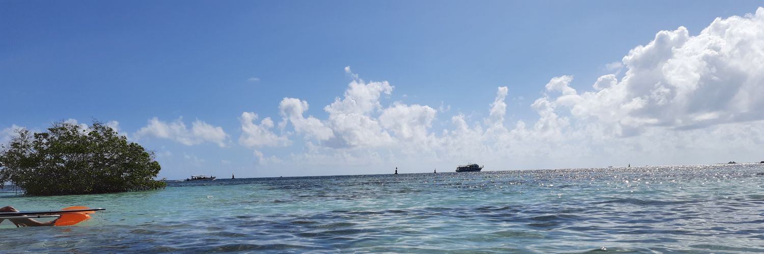 lmormola's profile banner image
