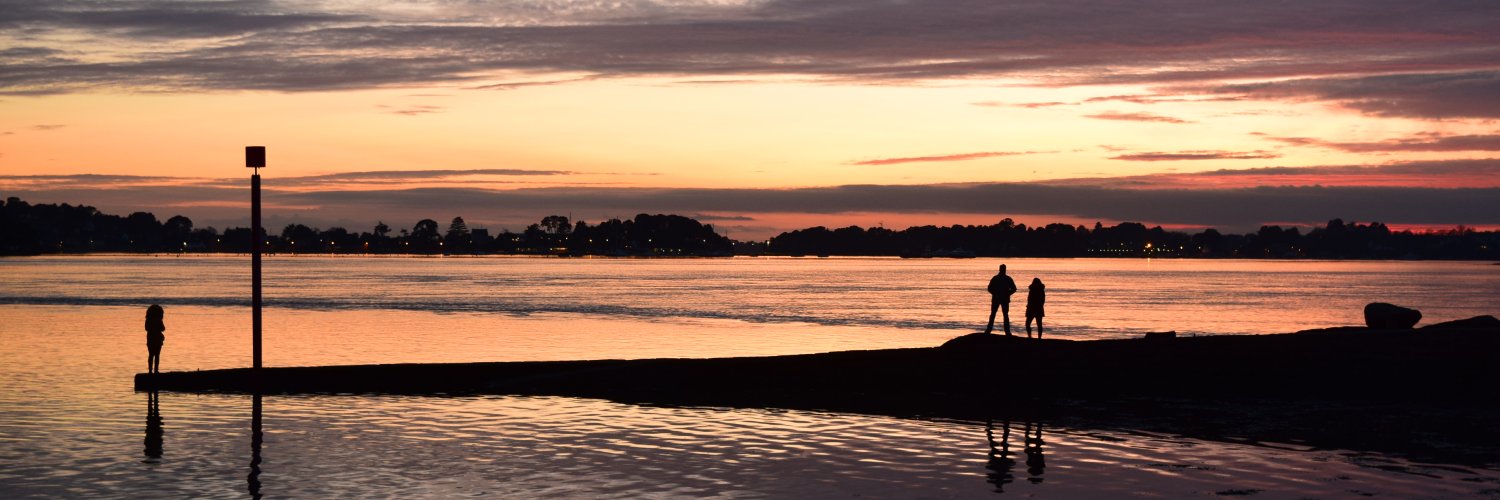 Patrice Dessaint banner