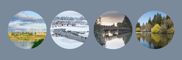 Emerson4OR Profile Banner