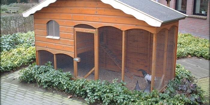 ChickenHour's profile banner image